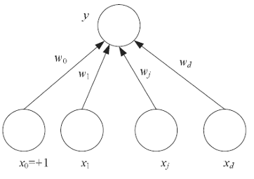 neuron